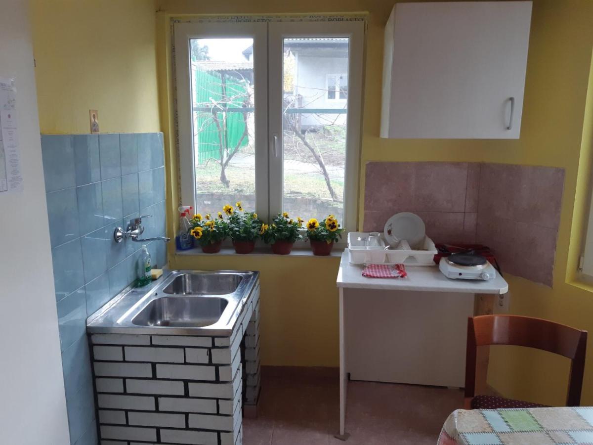 Apartman Novi Sad - Apartment Novi Sad Sremska Kamenica المظهر الخارجي الصورة